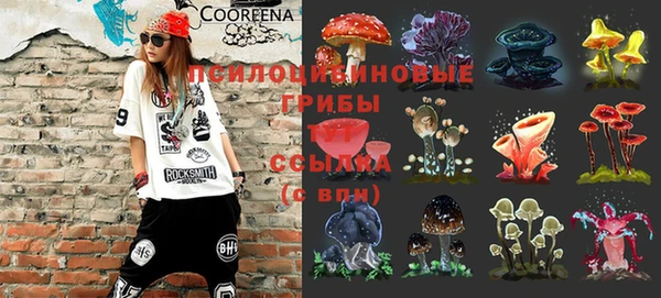 мдма Корсаков