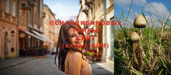 первитин Коряжма