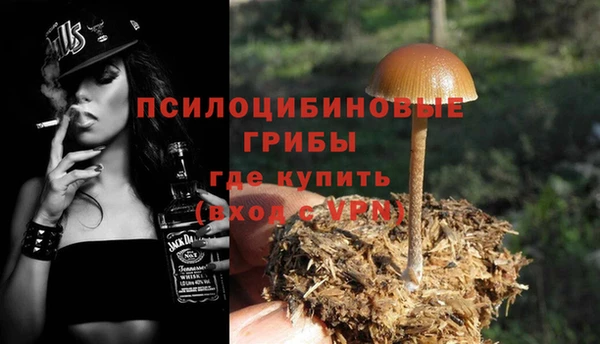 мдма Корсаков