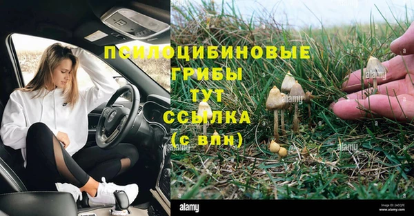 первитин Коряжма