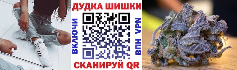Купить закладки  Заводоуковск  Каннабис планчик 
